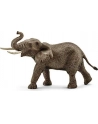 SCHLEICH Samiec słonia afrykańskiego - nr 3