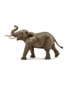 SCHLEICH Samiec słonia afrykańskiego - nr 5