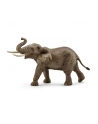 SCHLEICH Samiec słonia afrykańskiego - nr 7
