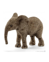 SCHLEICH Młody słoń afrykański - nr 1
