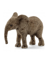 SCHLEICH Młody słoń afrykański - nr 3