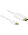 Delock Kabel mini Displayport 1.1 (M) > HDMI-A (M) 2m - nr 9