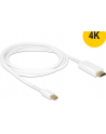 Delock Kabel mini Displayport 1.1 (M) > HDMI-A (M) 2m - nr 11