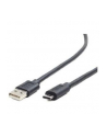 Gembird kabel USB 2.0 AM -> USB TYPE-C (480MB/s) 1m, czarny - nr 13