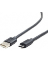 Gembird kabel USB 2.0 AM -> USB TYPE-C (480MB/s) 1m, czarny - nr 14