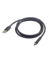 Gembird kabel USB 2.0 AM -> USB TYPE-C (480MB/s) 1m, czarny - nr 2