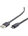 Gembird kabel USB 2.0 AM -> USB TYPE-C (480MB/s) 1m, czarny - nr 43