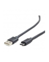 Gembird kabel USB 2.0 AM -> USB TYPE-C (480MB/s) 1.8m, czarny - nr 19