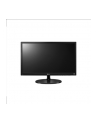 LG Monitor LCD 19M38A-B 18.5'' wide, WXGA 5ms, LED, D-Sub, czarny - nr 16