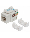 Intellinet Network Solutions Intellinet Moduł Keystone Cat6 UTP RJ45 zaciskany biały - nr 1