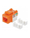 Intellinet Network Solutions Intellinet Moduł Keystone Cat5e UTP RJ45 zaciskany pomarańczowy - nr 4