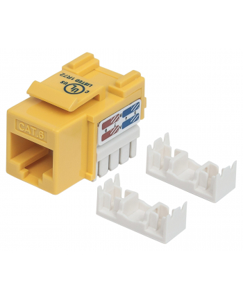 Intellinet Network Solutions Intellinet Moduł Keystone Cat6 UTP RJ45 zaciskany żółty