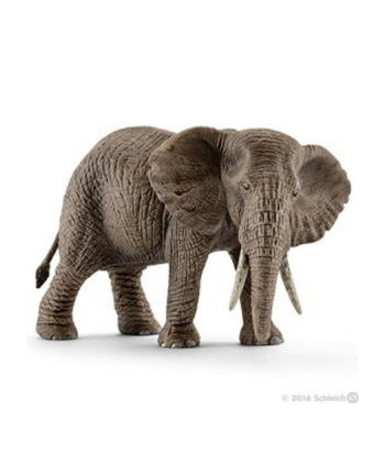 SCHLEICH Samica słonia afrykańskiego