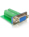 Delock Adapter VGA żeński > Terminal Block 16pin - nr 5