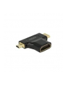 Delock adapter HDMI mini-C(M) + HDMI Micro-D(M)->HDMI(F) 4k High Speed Ethernet - nr 5