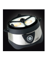 Russell Hobbs Jajowar Stylo silver/bk - nr 32