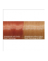 Braun Suszarka do włosów HD770 Diffusor czerwony - Satin Hair 7 - nr 25