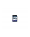 Verbatim Pro 32GB SDHC UHS Speed Class 3 - nr 12