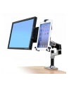 Ergotron LX Desk Mount LCD Arm ALU - nr 51