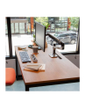 Ergotron LX Desk Mount LCD Arm ALU - nr 66