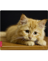 Speedlink SILK Mousepad Baby Cat - nr 5