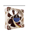 Noctua NF-A4x10 FLX 40x40x10 - nr 6
