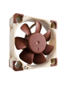 Noctua NF-A4x10 FLX 40x40x10 - nr 9