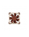 Noctua NF-A4x10 FLX 40x40x10 - nr 16