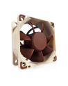 Noctua NF-A6x25 FLX 60mm - nr 8