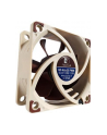 Noctua NF-A6x25 FLX 60mm - nr 19