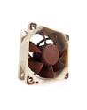 Noctua NF-A6x25 FLX 60x60x25 - nr 10