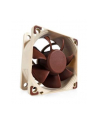 Noctua NF-A6x25 FLX 60x60x25 - nr 15