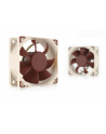 Noctua NF-A6x25 FLX 60x60x25 - nr 17