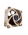 Noctua NF-A6x25 FLX 60x60x25 - nr 21