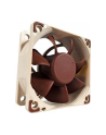 Noctua NF-A6x25 FLX 60x60x25 - nr 24