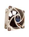 Noctua NF-A6x25 FLX 60x60x25 - nr 27