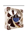 Noctua NF-A4x10 FLX 40x40x10 - nr 10