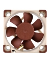 Noctua NF-A4x10 FLX 40x40x10 - nr 15