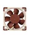Noctua NF-A4x10 FLX 40x40x10 - nr 22