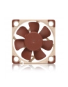 Noctua NF-A4x10 FLX 40x40x10 - nr 8