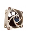 Noctua NF-A6x25 FLX 60x60x25 - nr 3