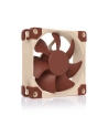Noctua NF-A8 PWM - 80mm - nr 1
