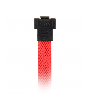 Sharkoon SATA III Kabel kątowy czerwony - 45 cm