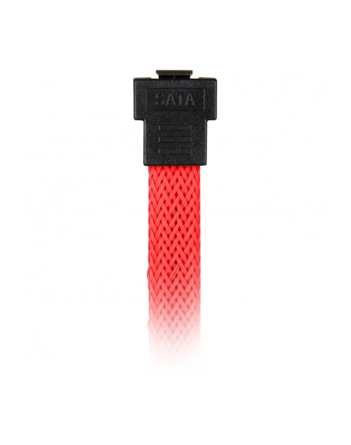 Sharkoon SATA III Kabel kątowy czerwony - 45 cm główny
