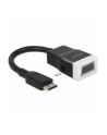 DeLOCK Adapter HDMI-mini-C - VGA D-Sub - nr 7