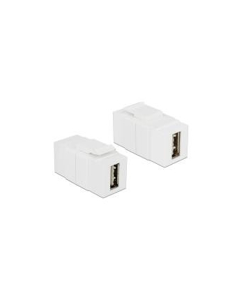 DeLOCK Keystone Easy USB 2.0 Wt-Wt A - biały