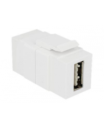 DeLOCK Keystone Easy USB 2.0 Wt-Wt A - biały
