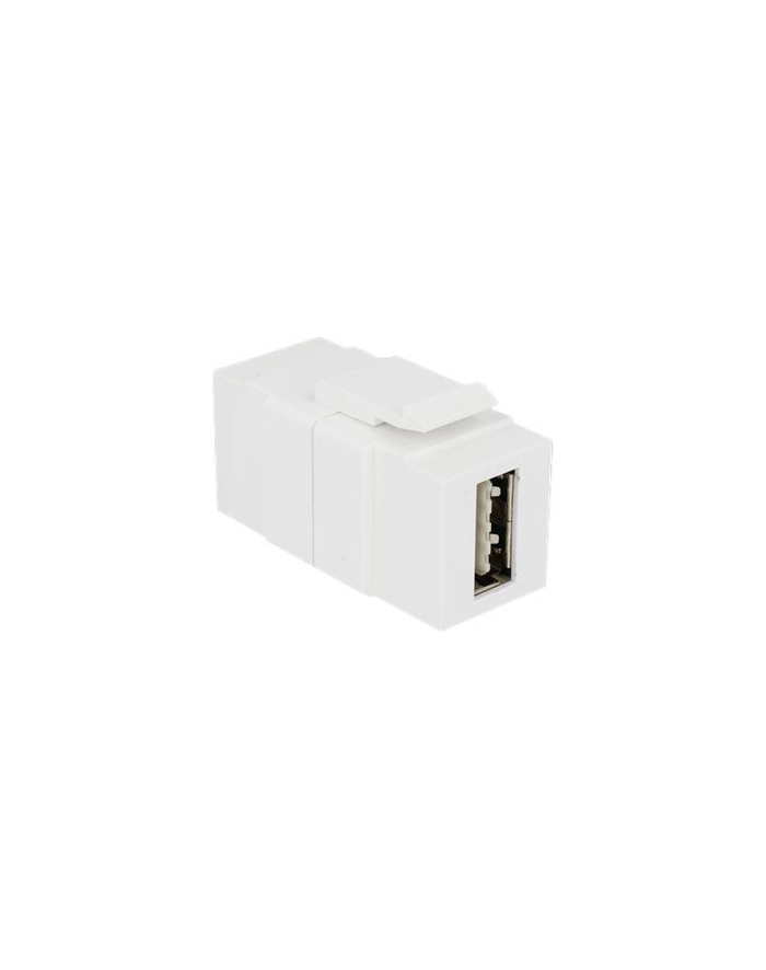 DeLOCK Keystone Easy USB 2.0 Wt-Wt A - biały główny