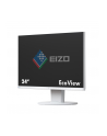 EIZO EV2450-WT - 23.8 - LED-Monitor H+D - nr 14