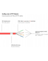 Kabel sieciowy Cat6 SFTP czerwony 50m - nr 11